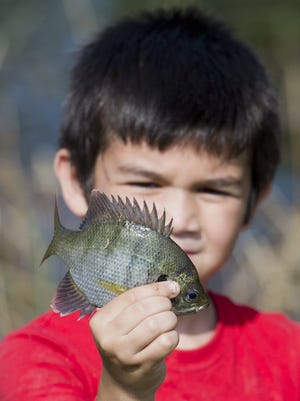 Images from the Port St. Lucie Anglers Club Kid's Fishing Tournament Saturday at the Port St. Lucie Botanical Gardens. 