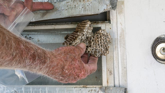 Ed Kizer demonstrates where a wasp nest was located on the back door of the Pleasant View Nursery and Florist in Pleasant View, Tennessee