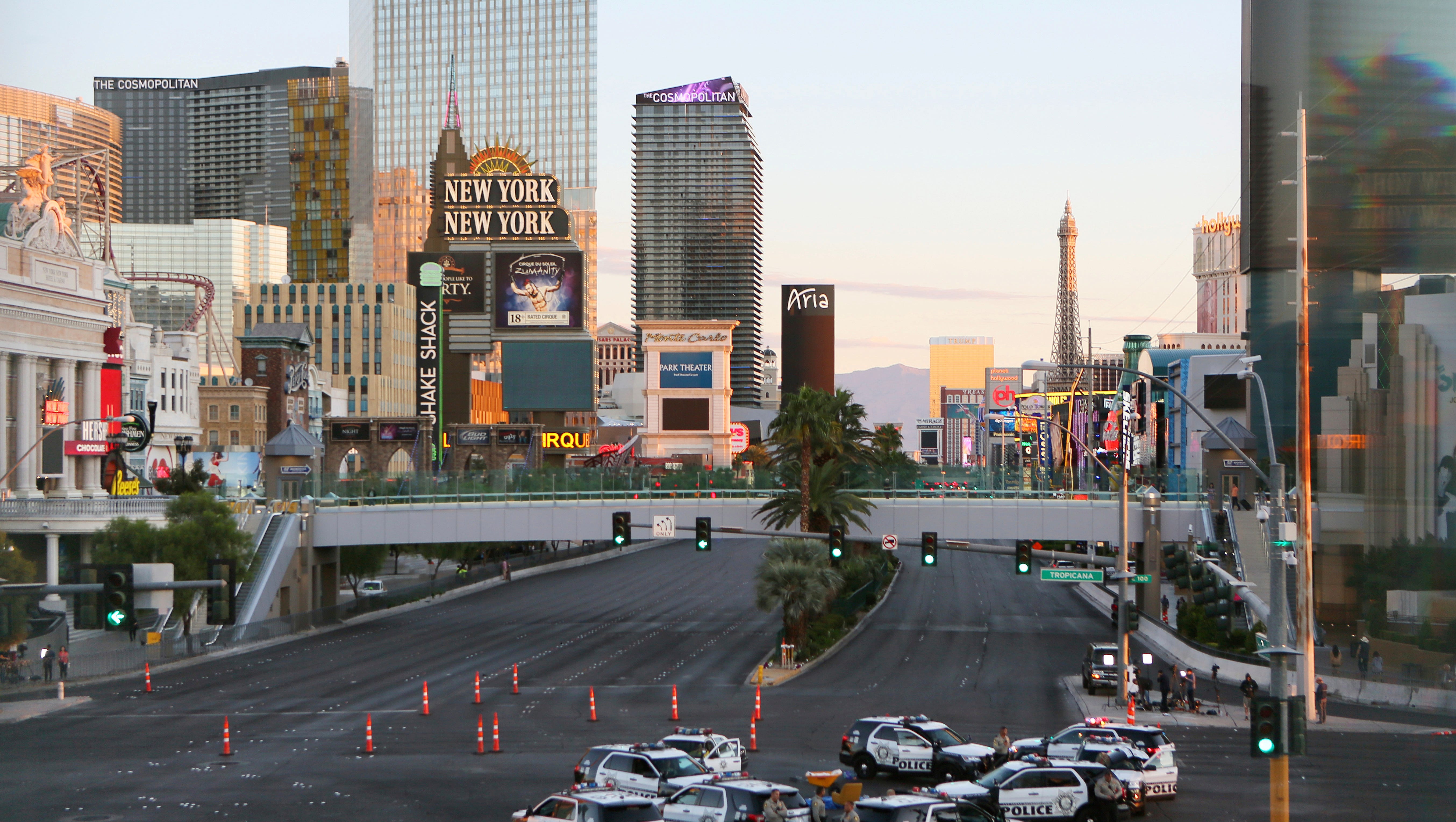 Preventing Future Stephen Paddocks And Las Vegas Shootings