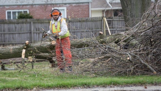 An Indiana Michigan Power worker cuts down trees for a new substation being built on Tillotson Avenue.