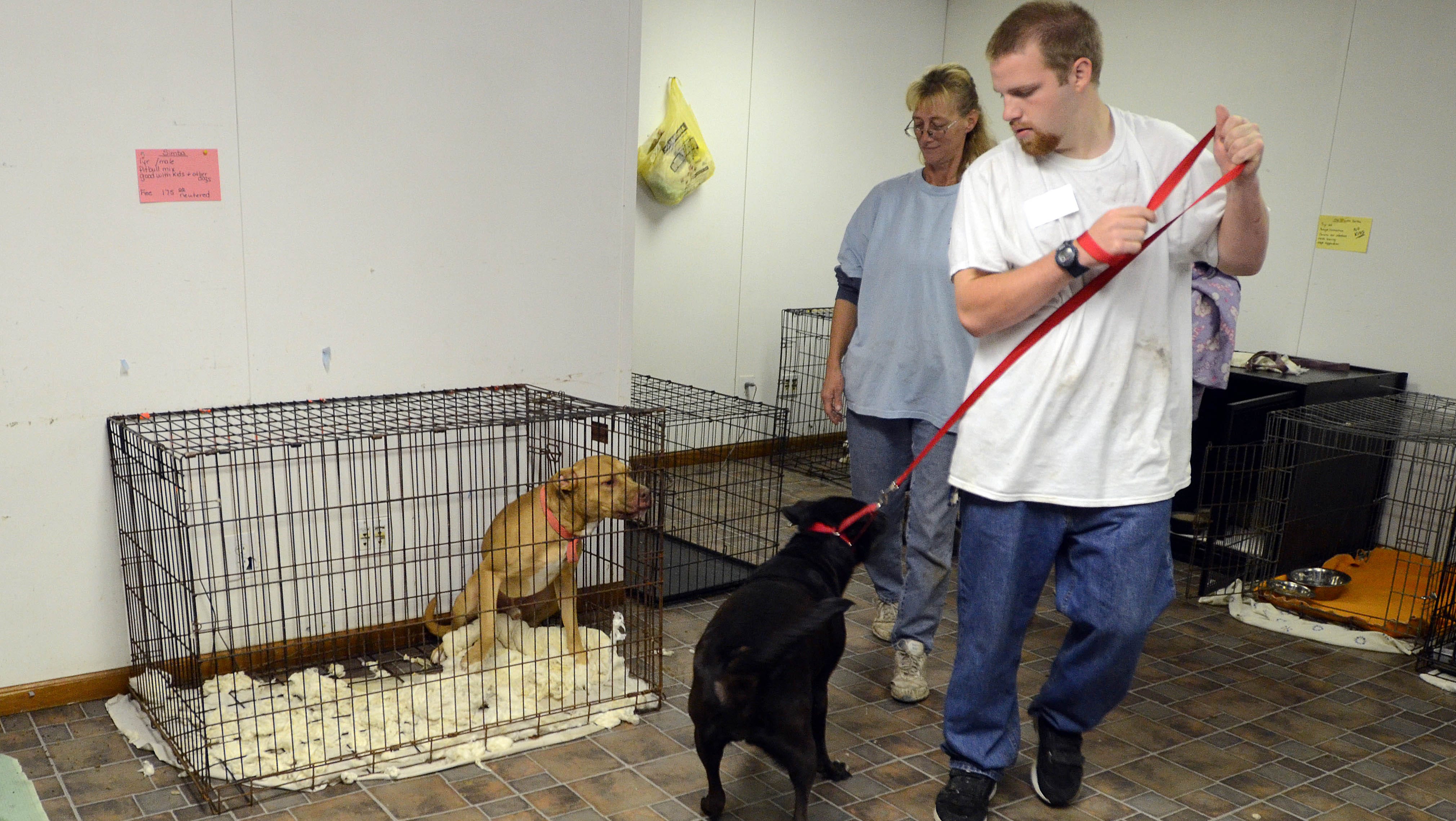 S&R Animal Rescue forced to move from Port Huron site S&R Animal Rescue forced to move from Port Huron site