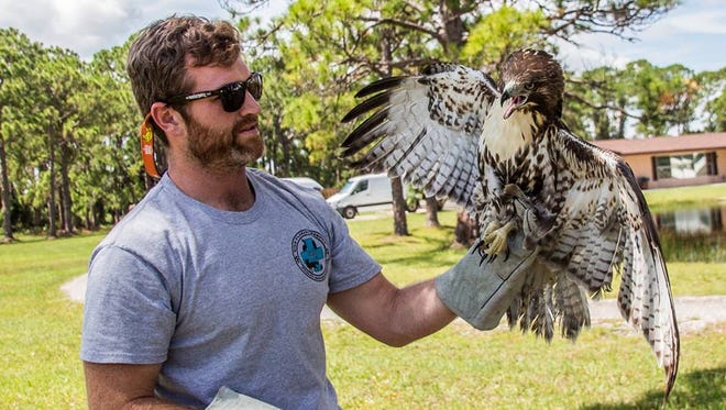 Matthew Buice of Wild Florida Rescue handles a rescued bird.
