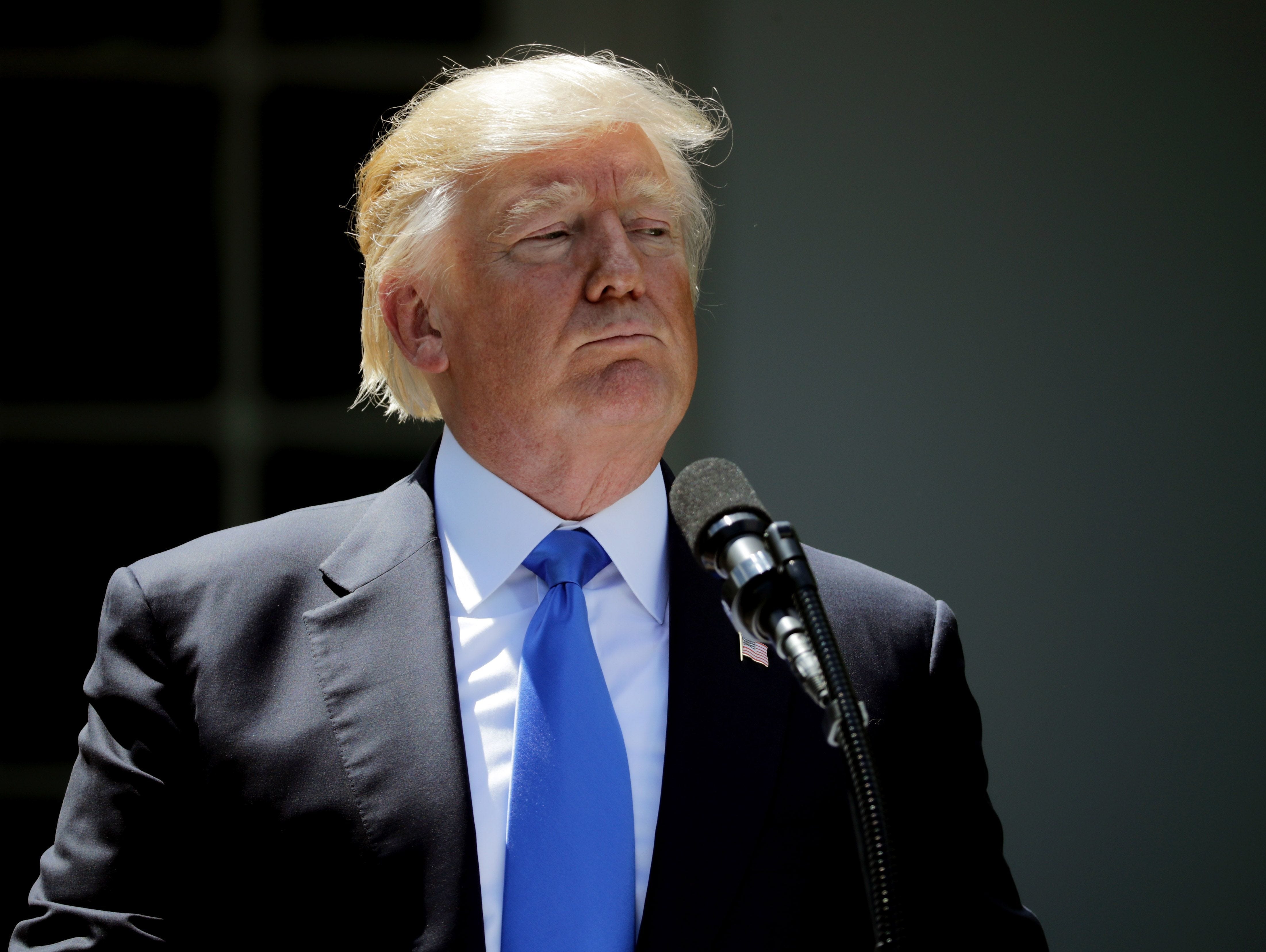 President Trump is pictured speaking at a news conference.