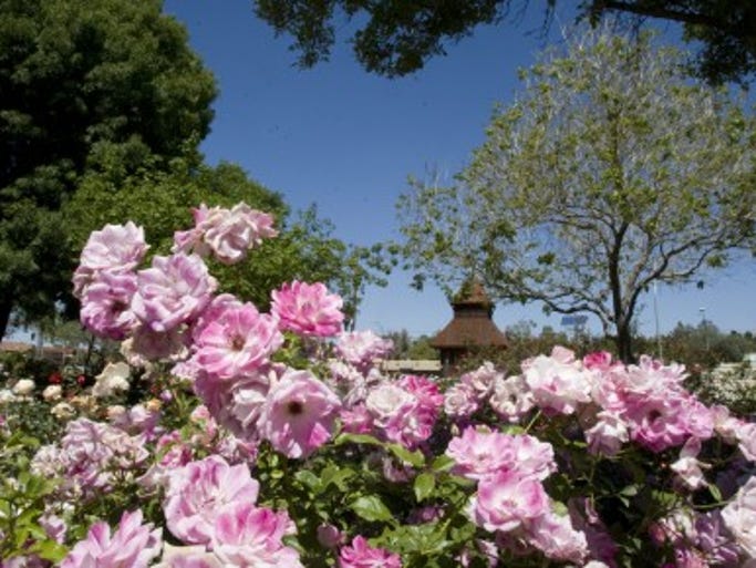 Ultimate Arizona bucket list 25 things to do in Mesa