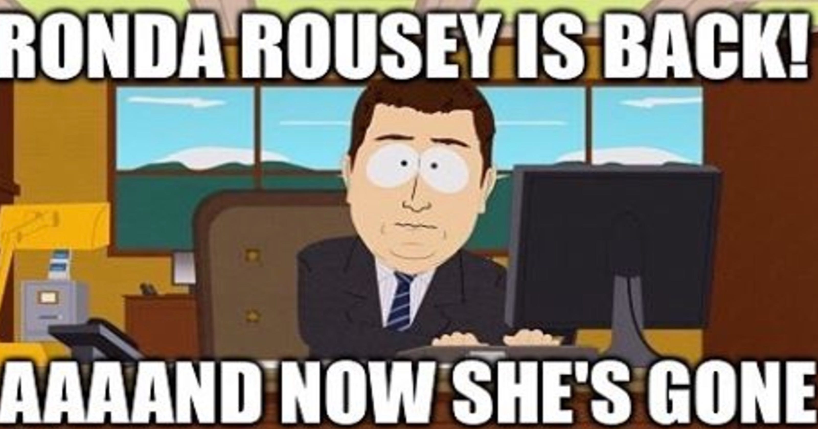 The 15 Funniest Memes From Ronda Rouseys Loss