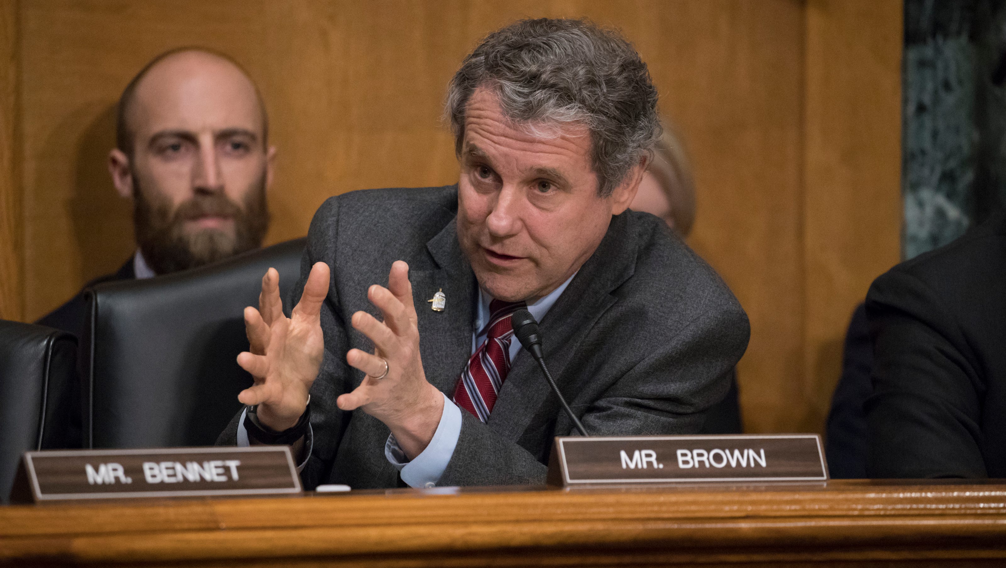 sherrod brown committee and caucus assignments