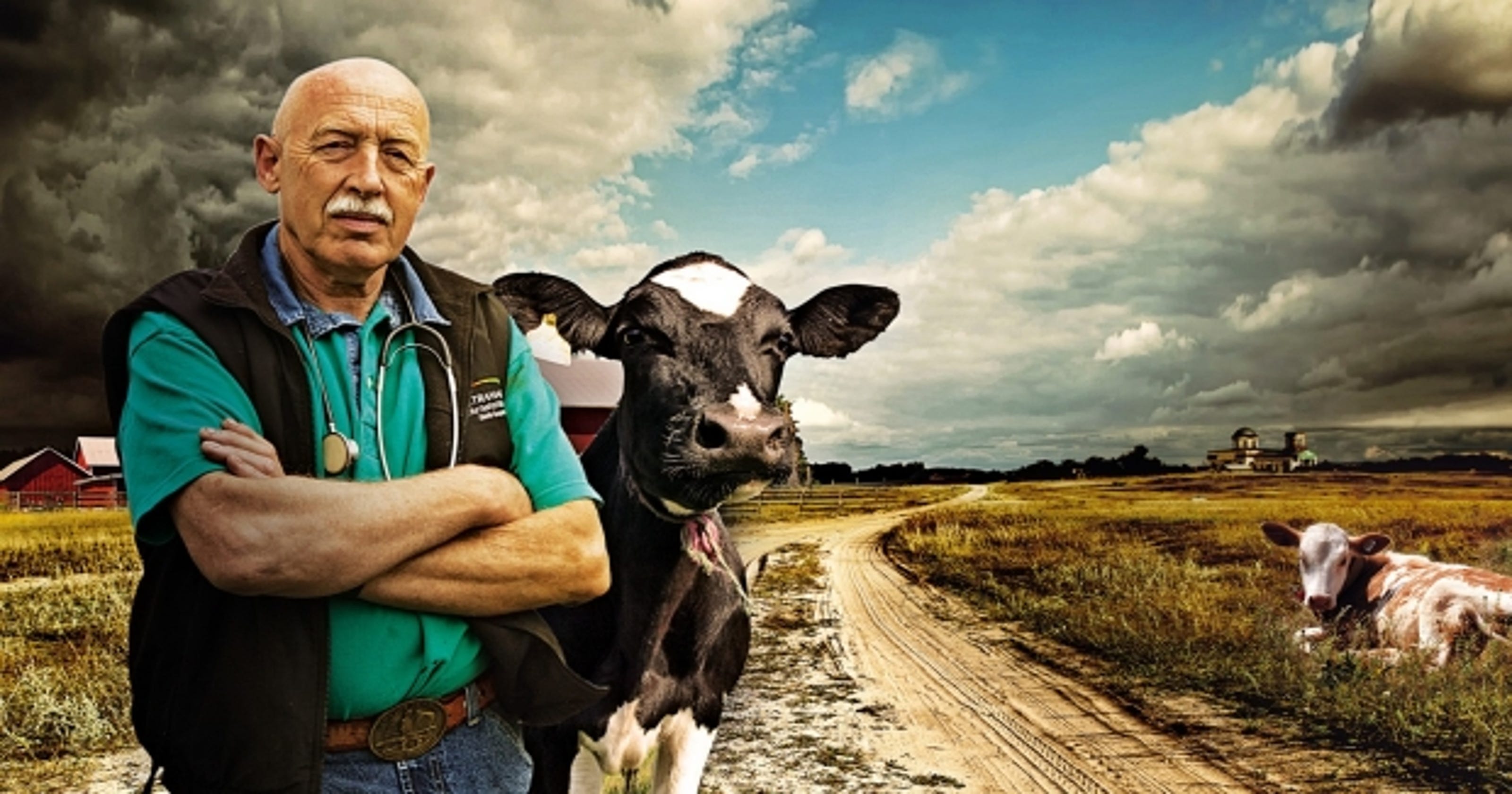 Dr Pol Net Worth