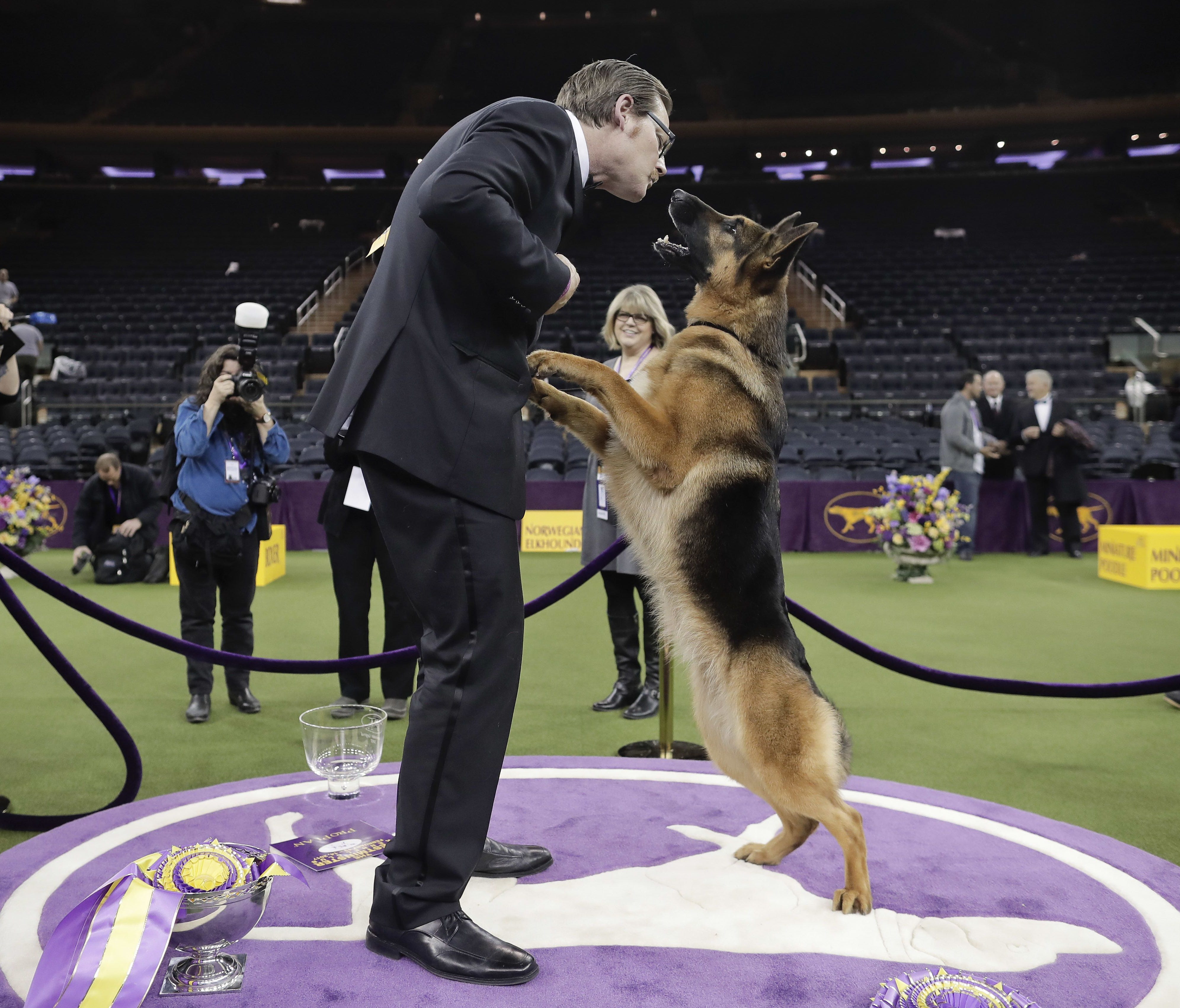Rumor, a German shepherd, leaps to lick her handler and co-owner Kent Boyles on the face after winning Best in Show at the 141st Westminster Kennel Club Dog Show.