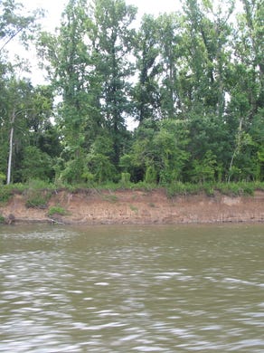 Erosion that causes steep banks along the Apalachicola River near Blountstown has resulted from dredging, critics say.