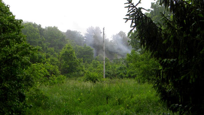 Smoke rises in the woods in Benner Township, Centre County, where a plane crashed killing its two occupants Thursday, June 16, 2016. Officials said the small plane crashed trying to land at an airport operated by Penn State University. (John Boogert/Centre Daily Times via AP)