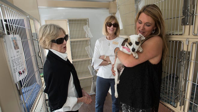 Jennifer Bitner, the executive director of the Pensacola Humane Society, right, shows off Prisca, a mixed breed dog, to Lola Hogeman, left, and Eloise deVarona, during a visit to the Pensacola Yacht Club by the organization’s new mobile adoption unit, Wednesday, April 25, 2018. 
