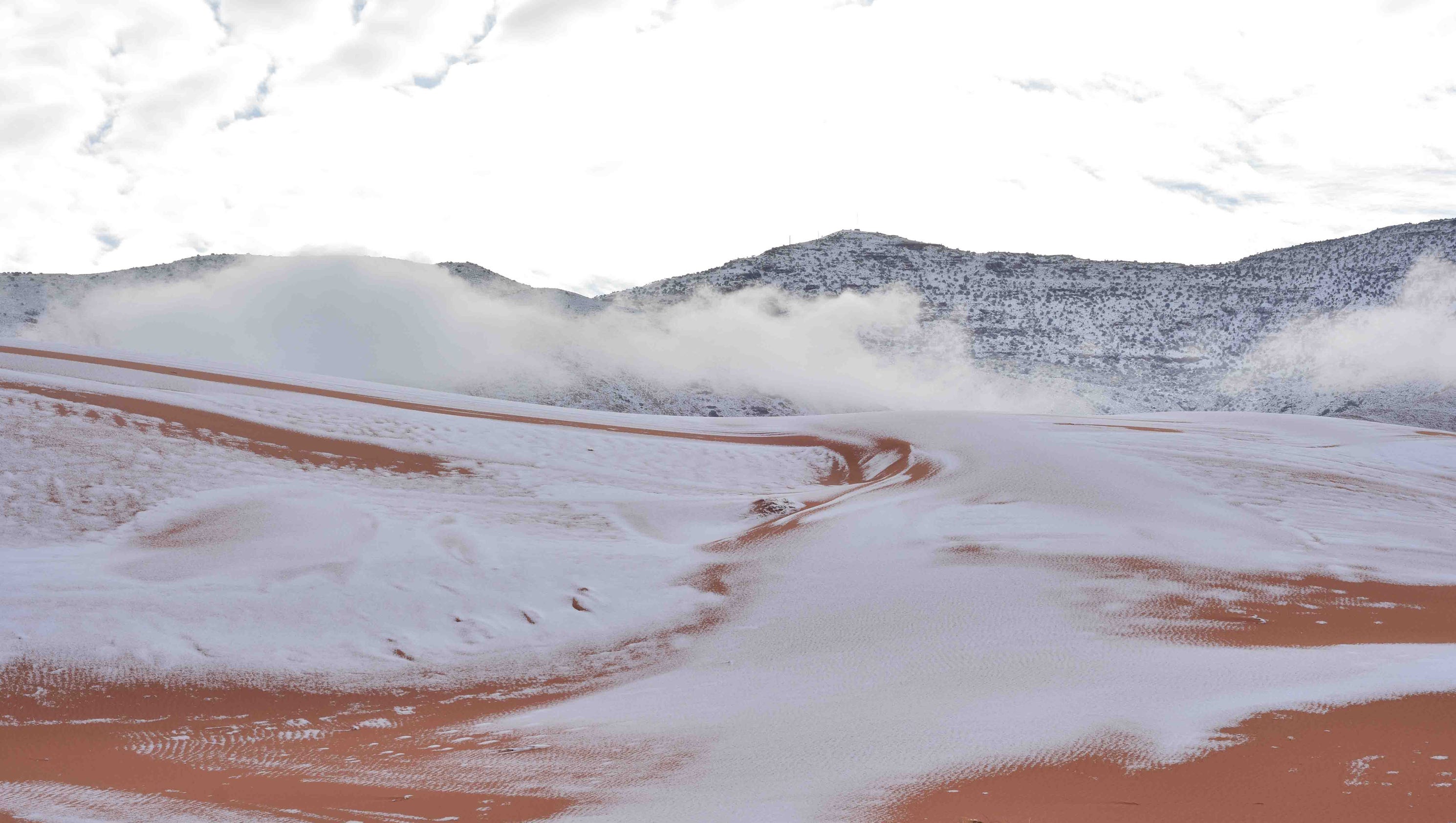 Wolf Creek Pass Road Conditions Shocking Details Revealed The Shocking Truth Everyone Needs To Know - zcfka6h