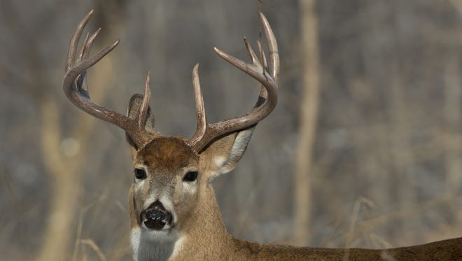 Chronic wasting disease will cause localized population declines in white-tailed deer, if it hasn't already, experts warned the newly formed CWD Response Plan Review Committee on Thursday.