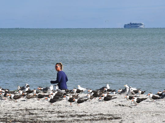Cold Weather Shelters Open In Brevard County