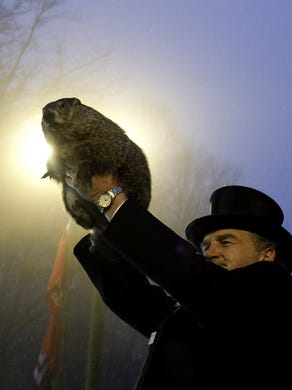 Groundhog Day Facts Phil The Badger The Elixir