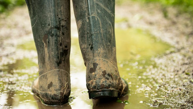 Muddy rubber boots