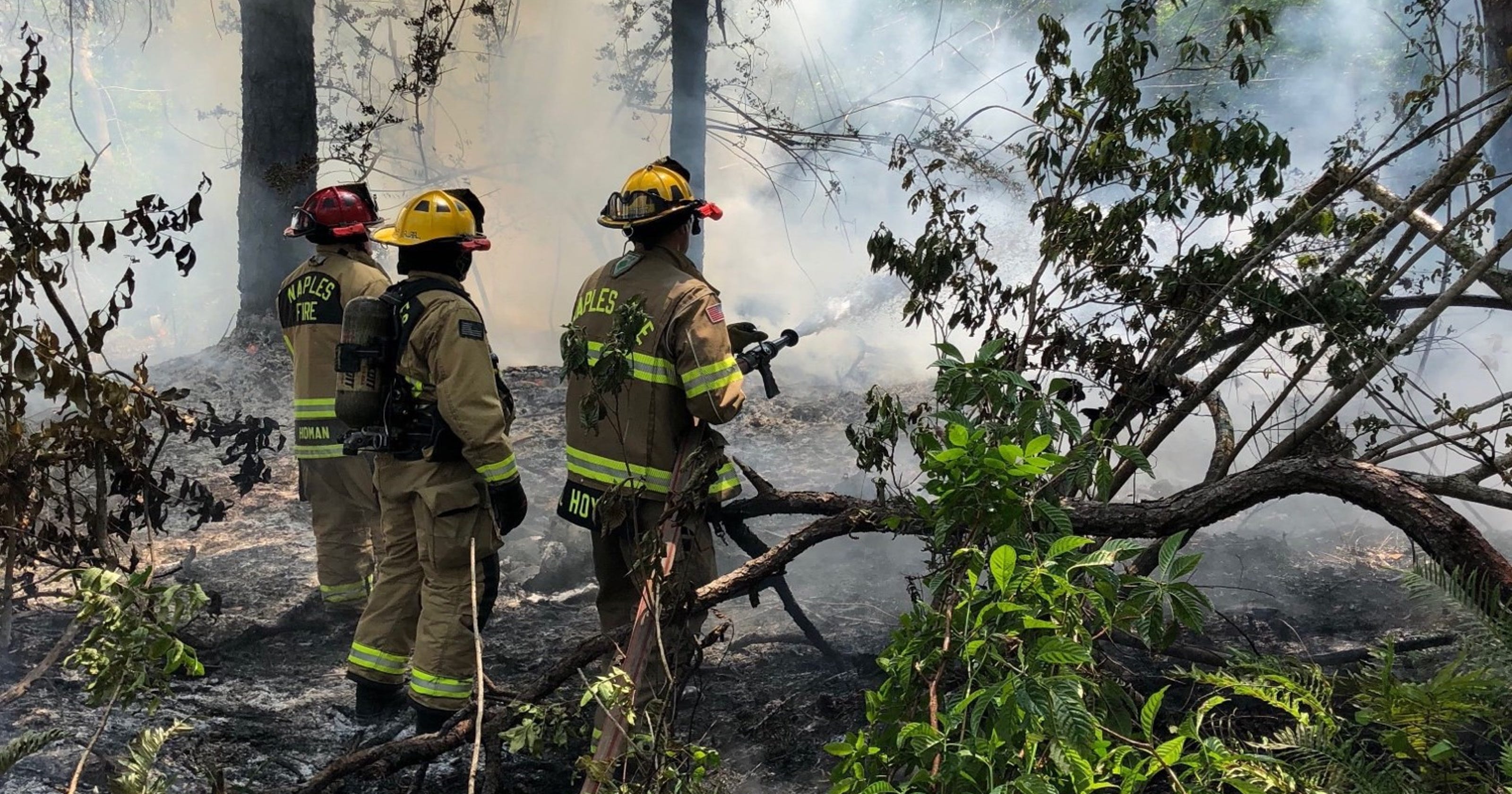 Naples firefighters put out small blaze behind Naples Zoo