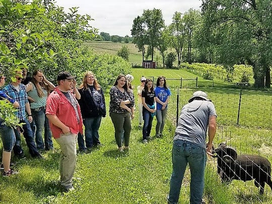 Wisconsin Ffa Oconto Falls Students Take First