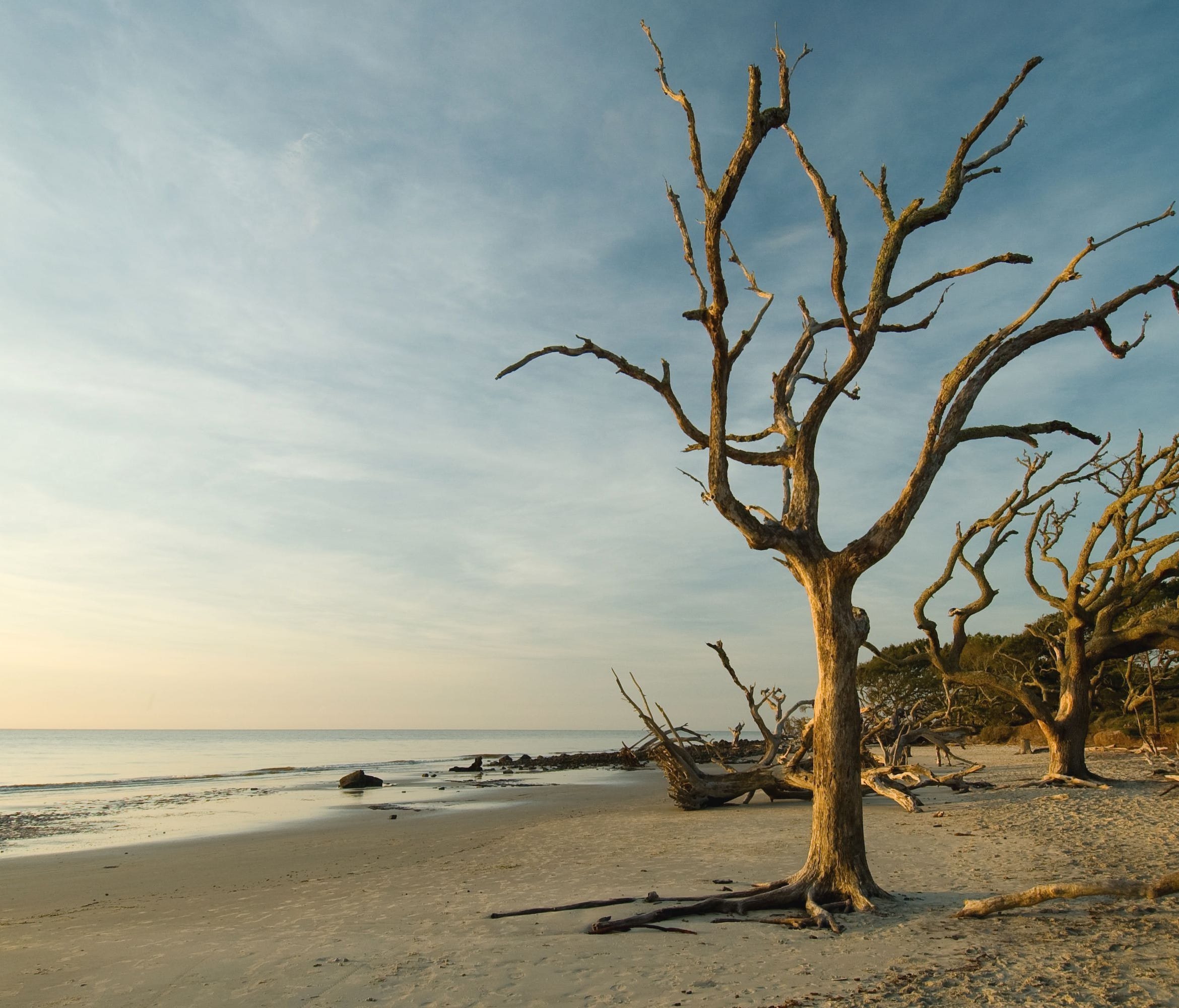 While you're in St. Simons, be sure to check out nearby Jekyll Island — its famous Driftwood Beach, dotted with magnificent tree limbs that have washed ashore, is a hotspot for photographs.