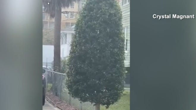 Screen grab of social media post of purported snow in South Florida. The National Weather Service says it was actually "graupel." Photo courtesy WPTV Channel 5.