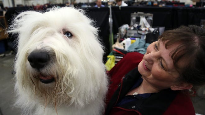 The 112th and 113th Detroit Kennel Club Dog Shows will be held June 20-21 at the Suburban Showplace in Novi.