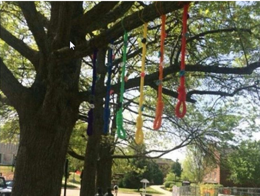 Image result for colored nooses