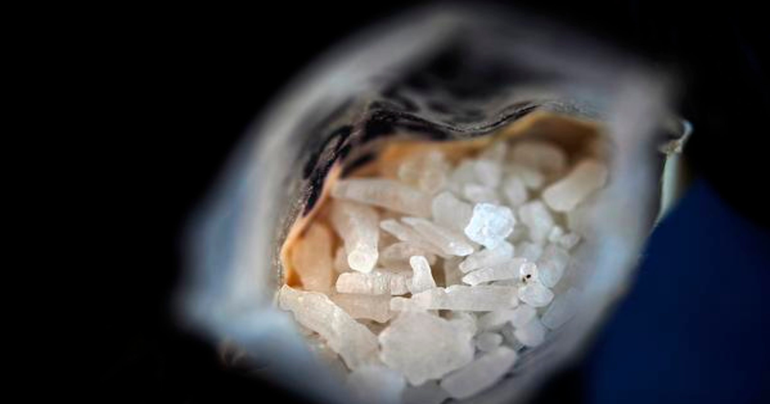 Meth can lead to unsafe sex, STDs and burnout