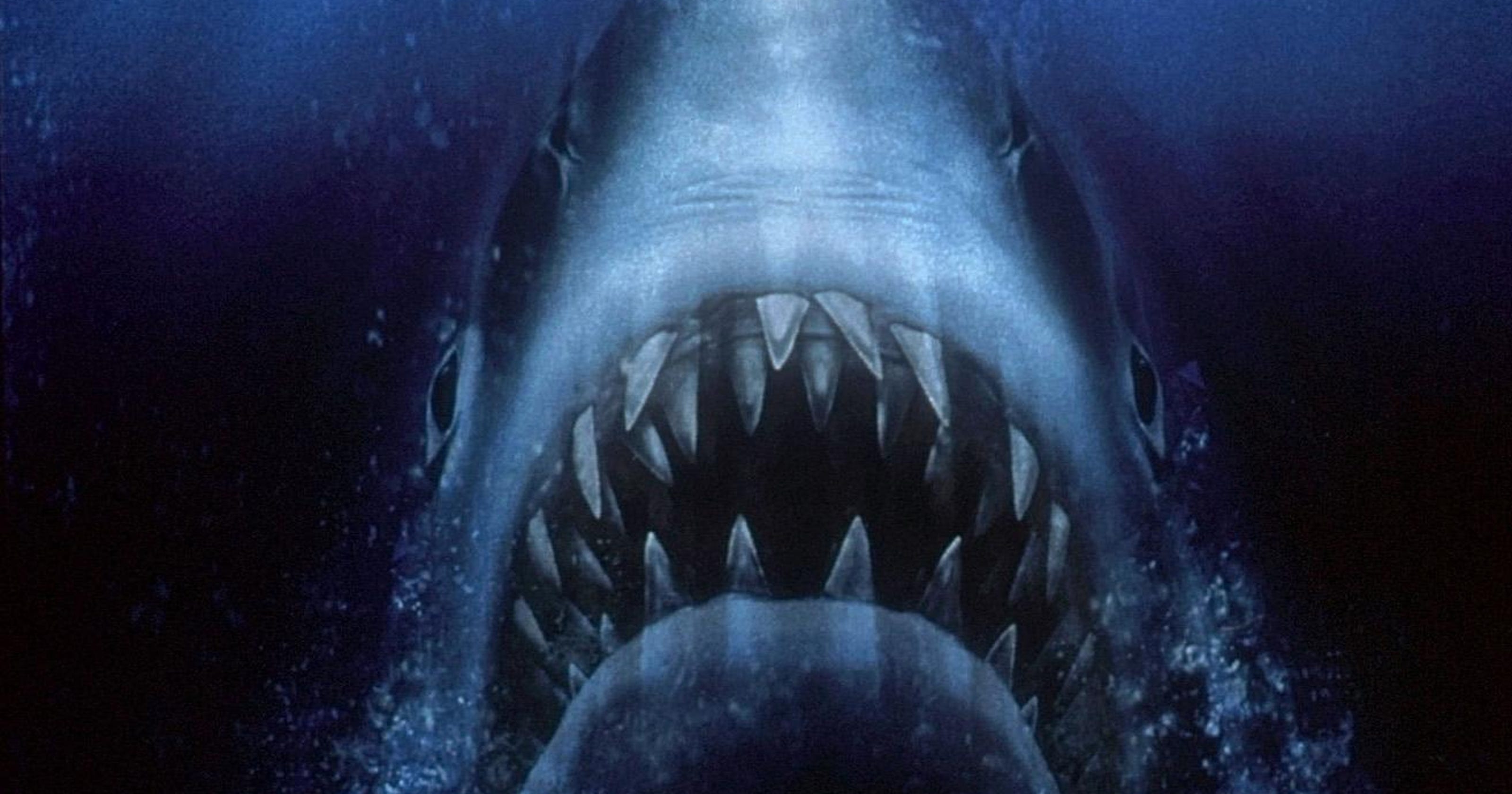 Shark Week: Jaws, Sharknado and other shark movies
