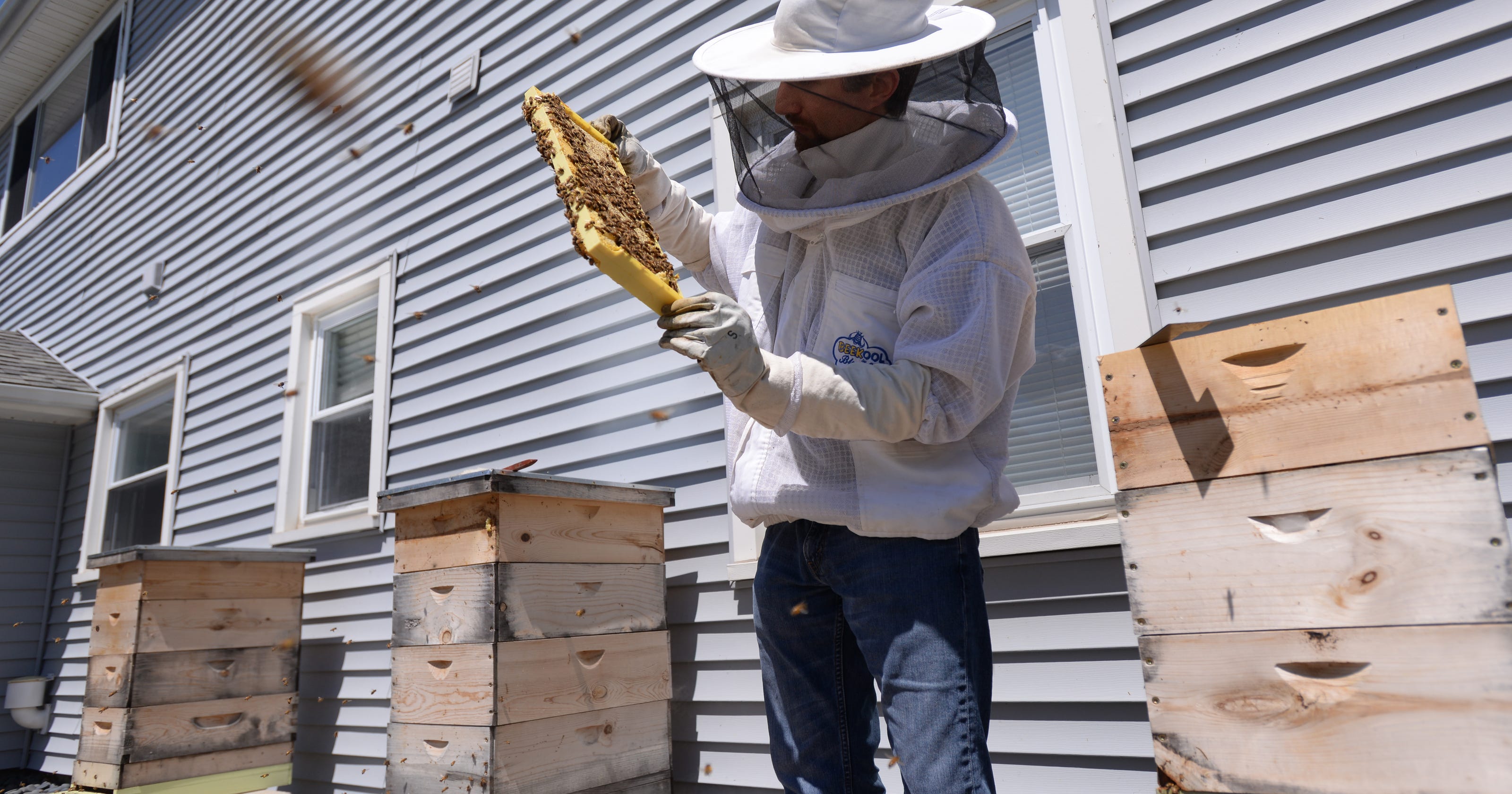 Michigan beekeepers fight to keep hives in backyard