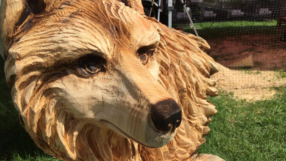 Chainsaw Artist Turns Stumps Into Statues