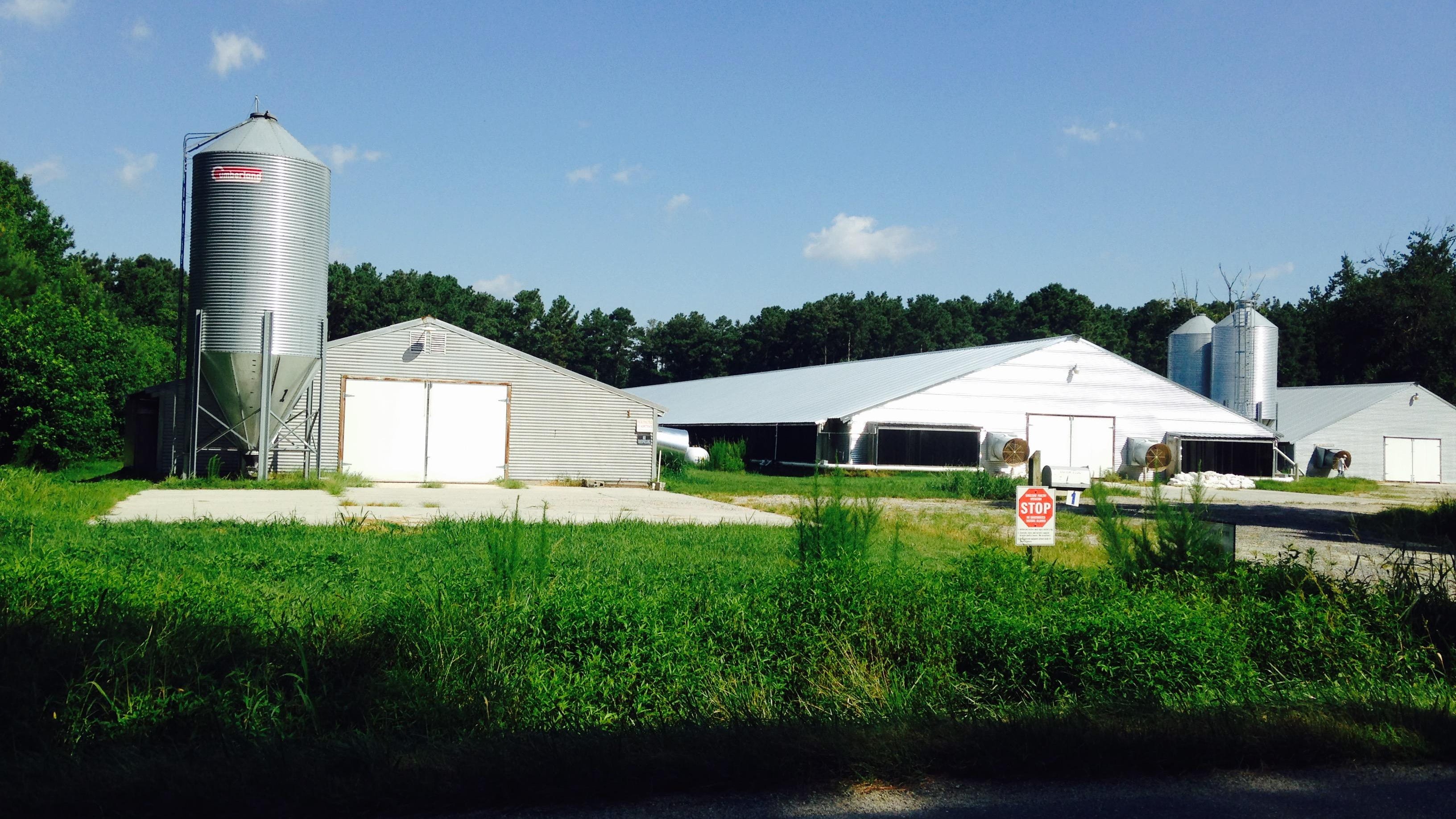 Poultry farm for sale delaware maryland finalrusaq