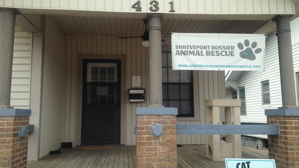 Cat Advocate Employees Resign