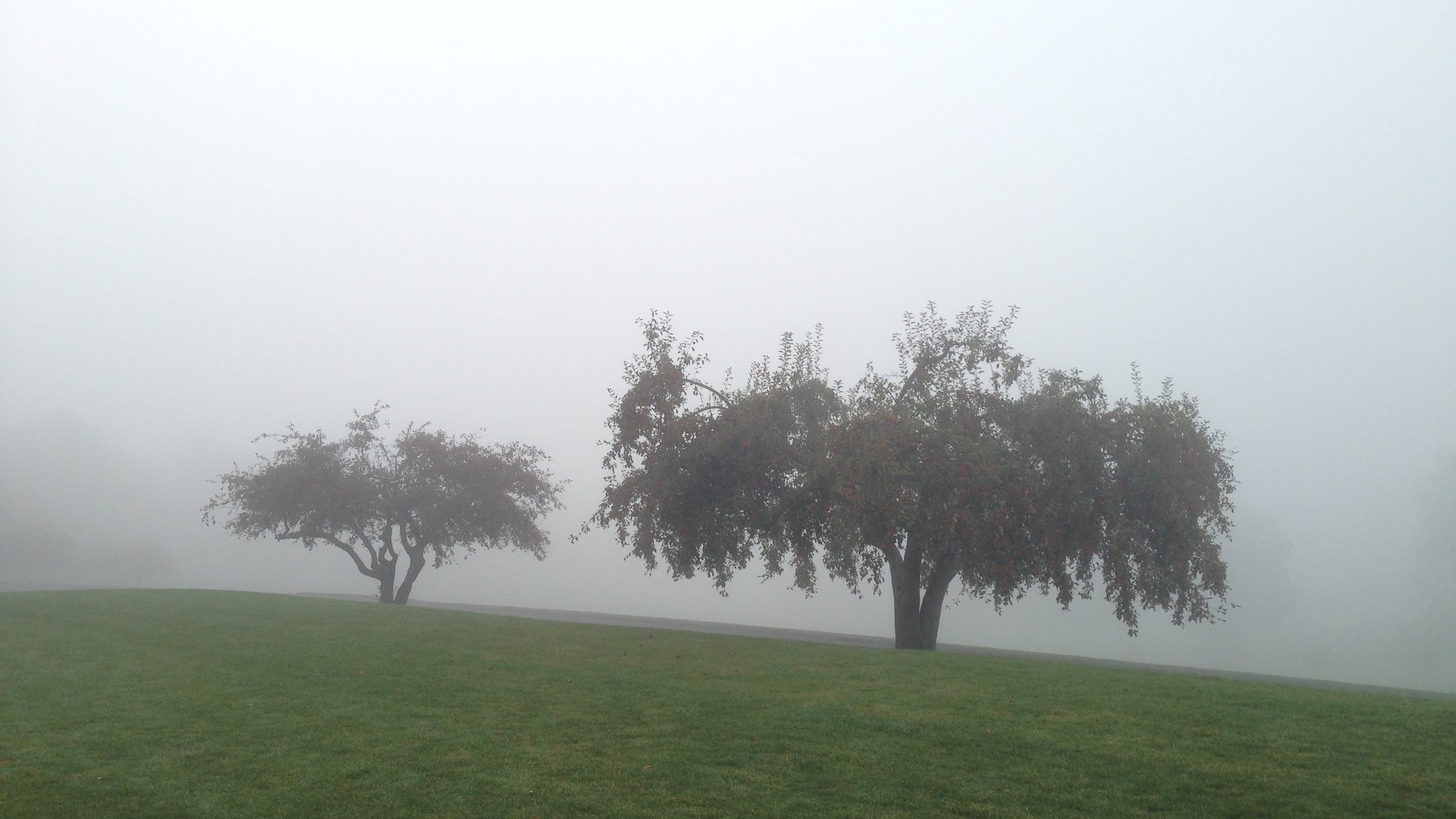What We Can See When The Fog Rolls In What We Can See When The Fog Rolls In