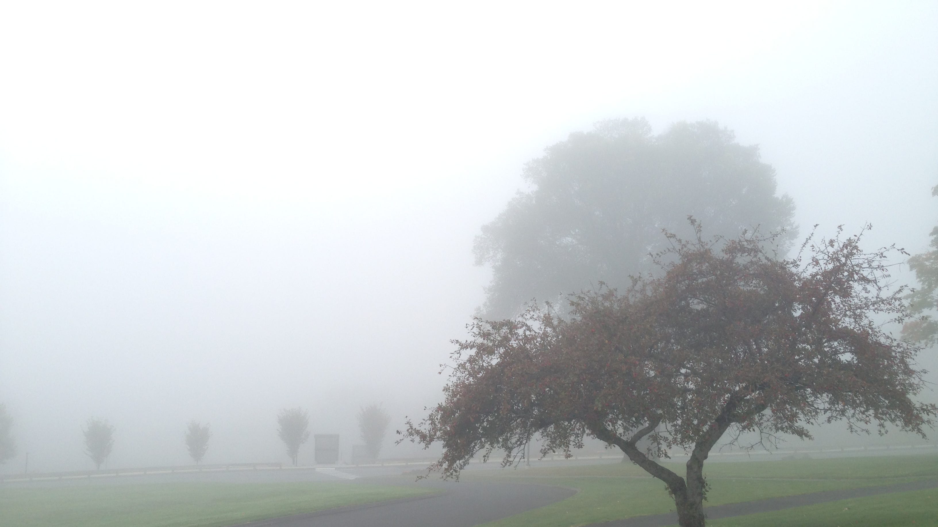 What We Can See When The Fog Rolls In What We Can See When The Fog Rolls In