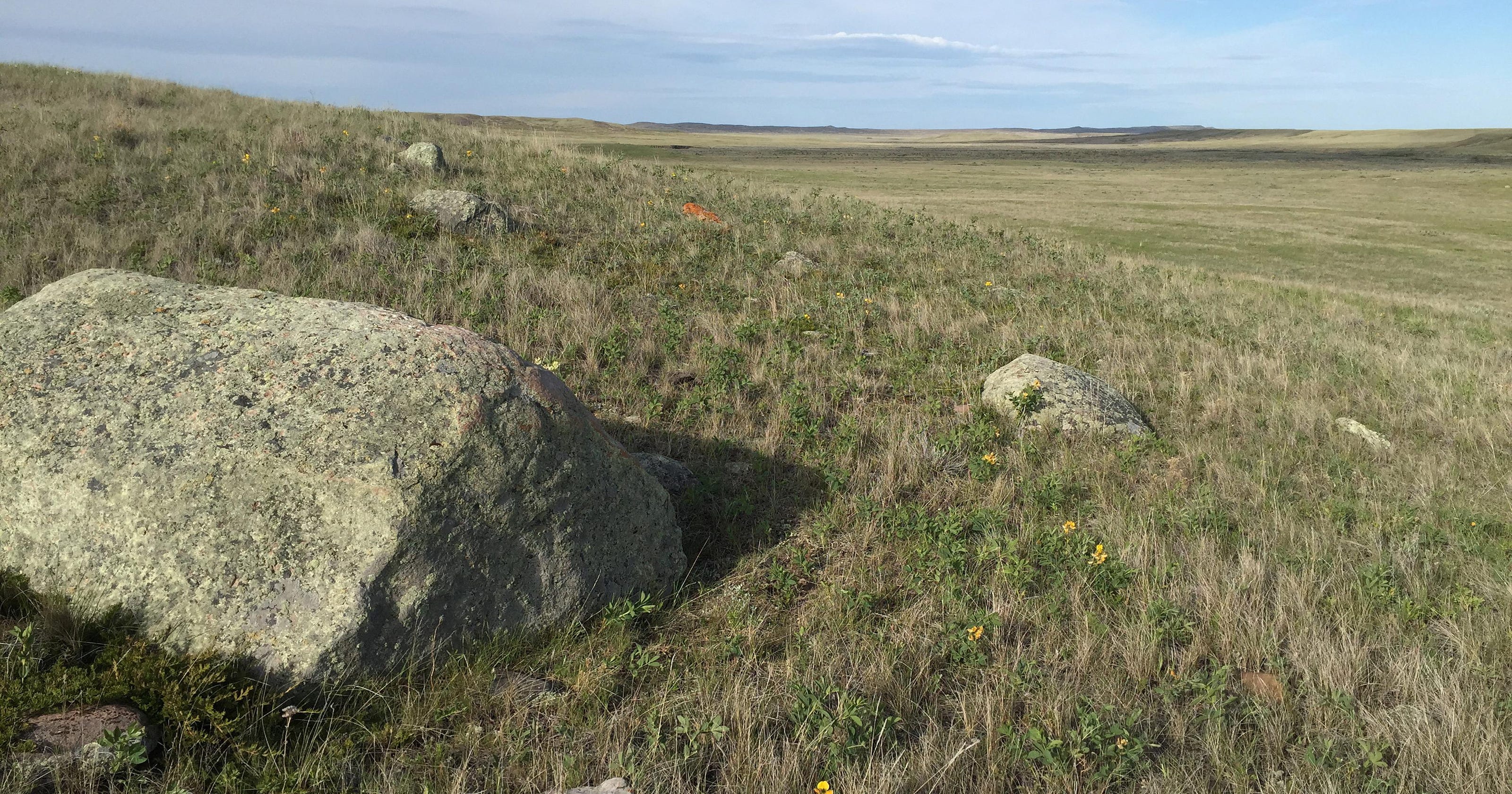 The Nature Conservancy obtains grasslands in conservation ...
