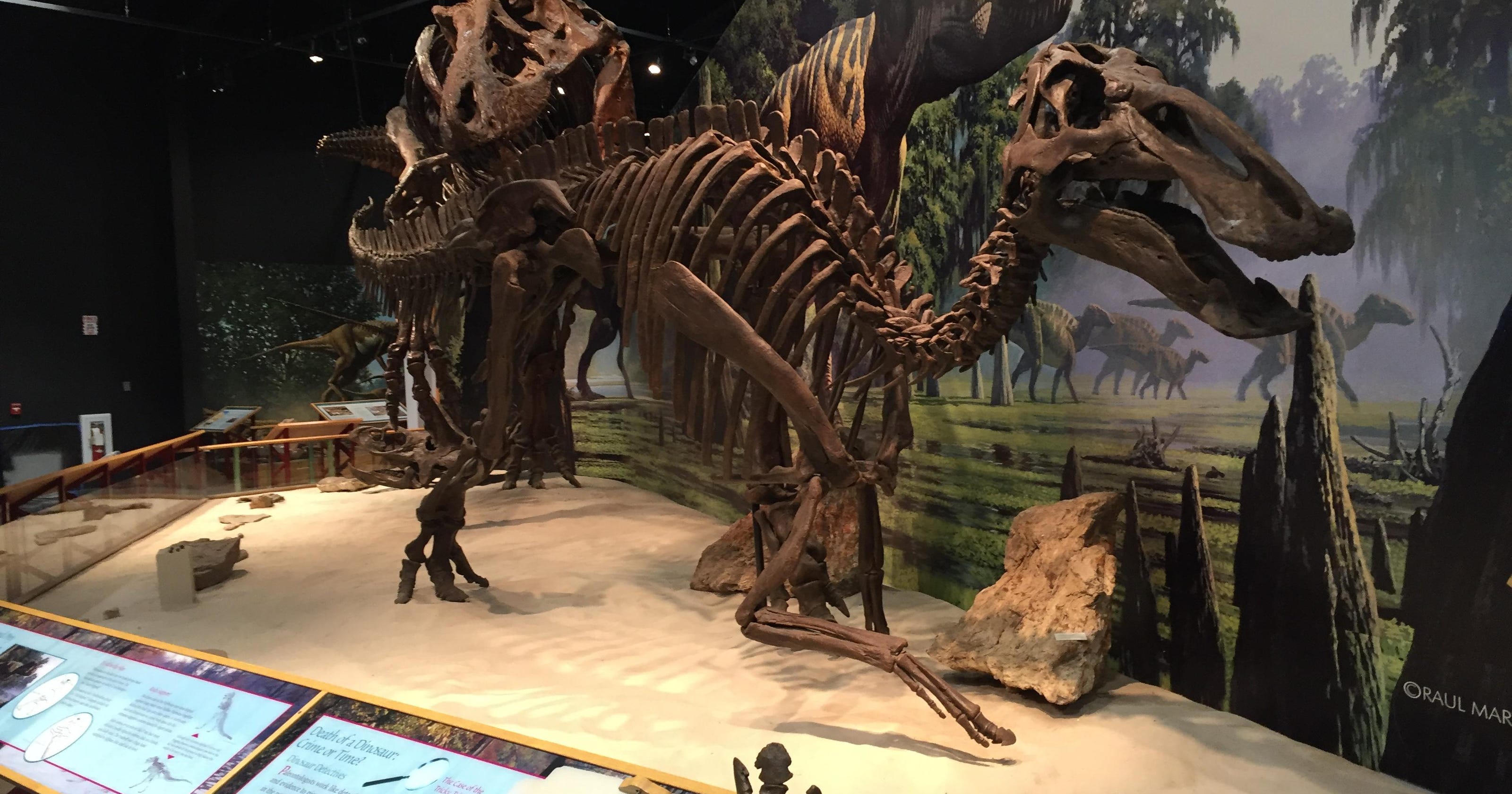 Northeastern Montana digs its dinosaurs dam