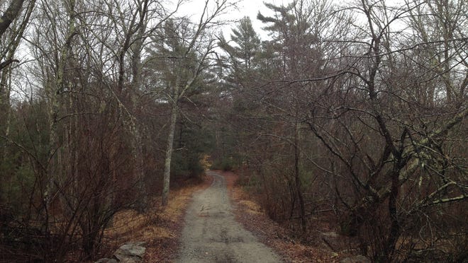 The Freetown State Forest is said to include many spooky areas.