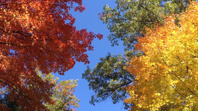 
Explore the brilliant colors of fall in a whole new way this autumn. By land, sea or air, there are great opportunities out there to see the colors of the season like never before. 

