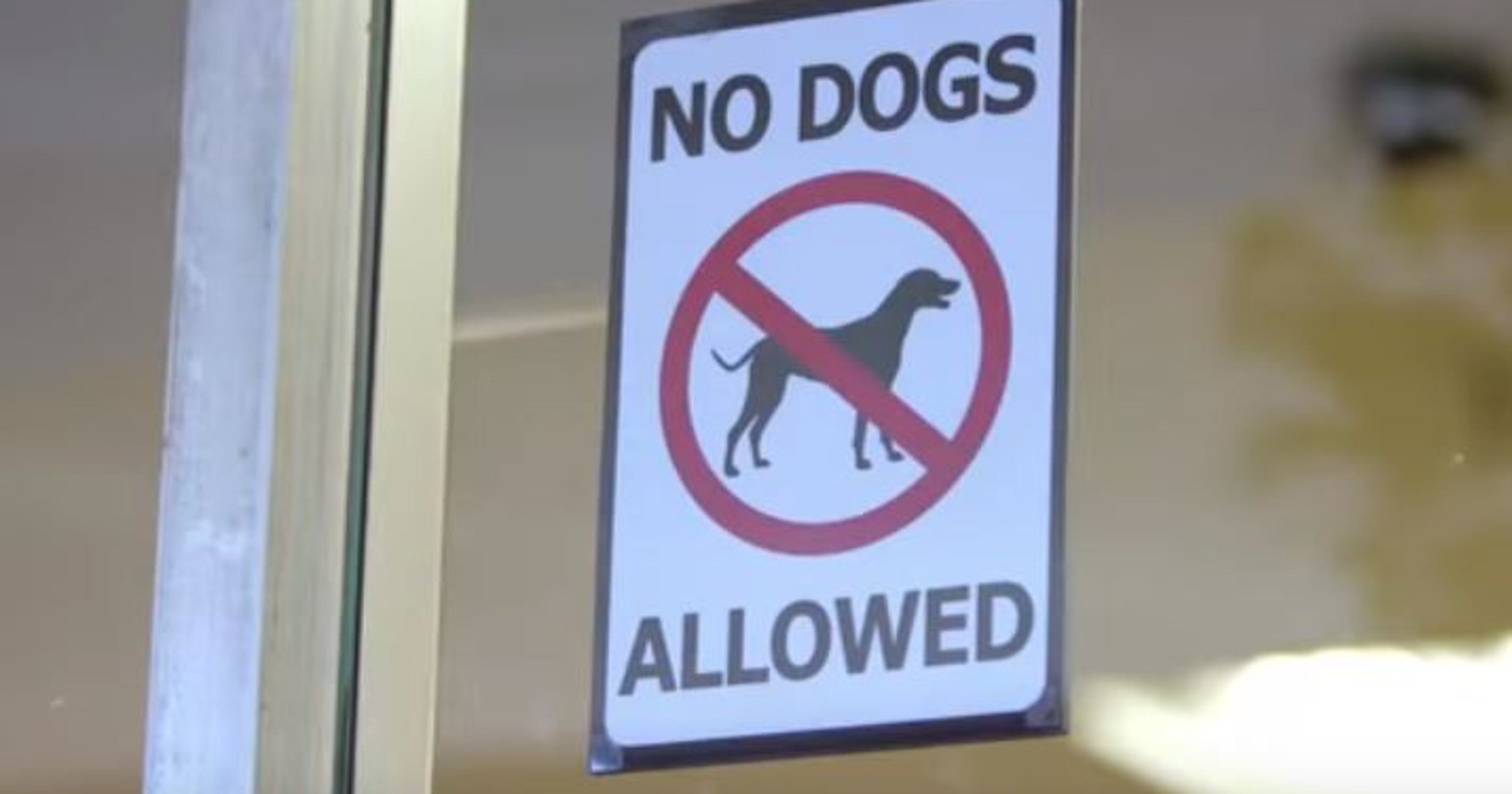 No dogs allowed: Washoe health cracks down on pets at bars ...