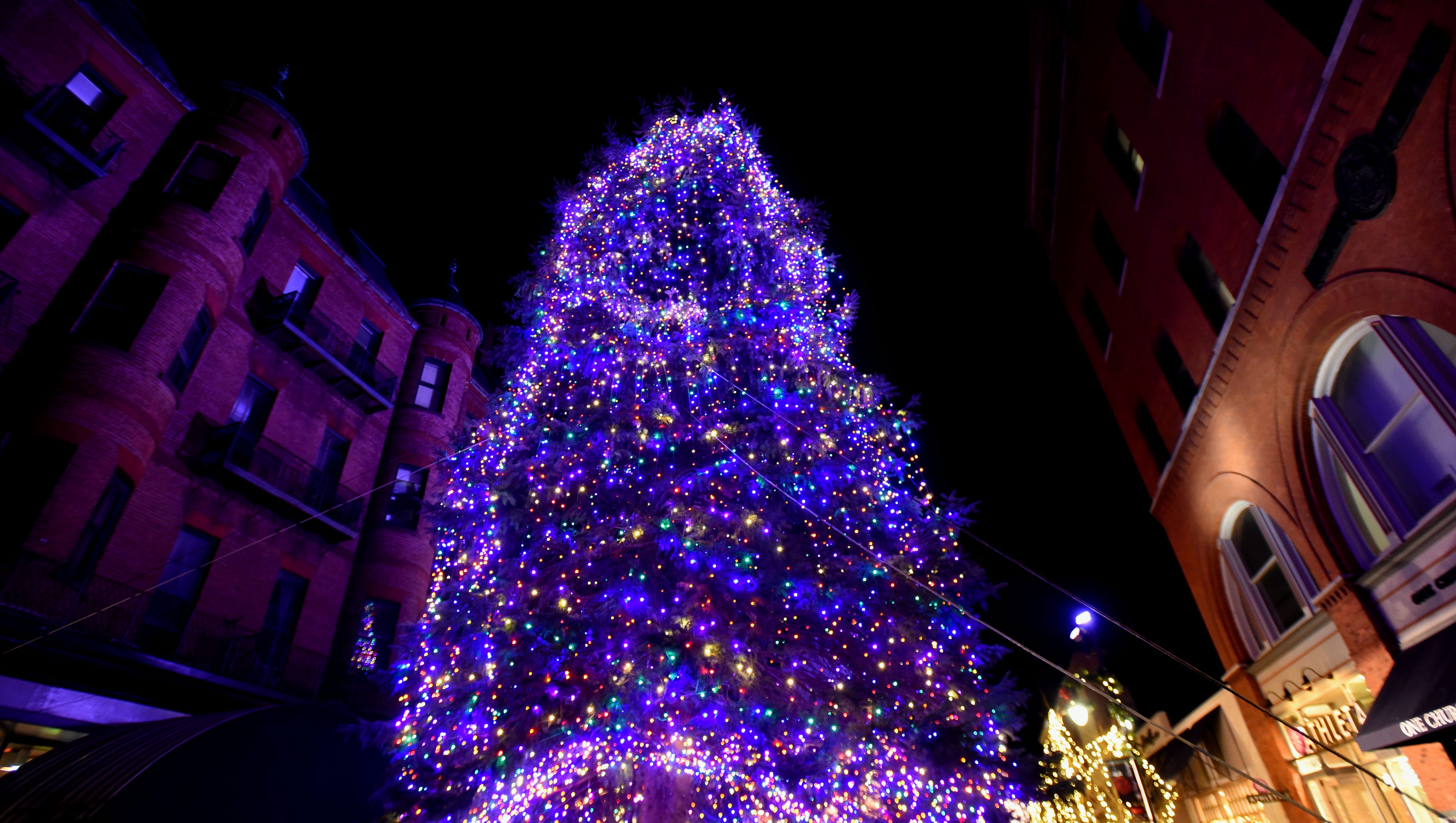 Burlington Vermont Christmas Volunteering 2022 Christmas Tree Lightings In Vermont For The 2021 Holiday Season