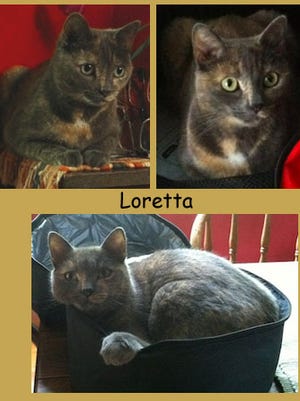 lost-loretta