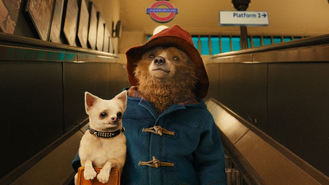 Paddington.jpg