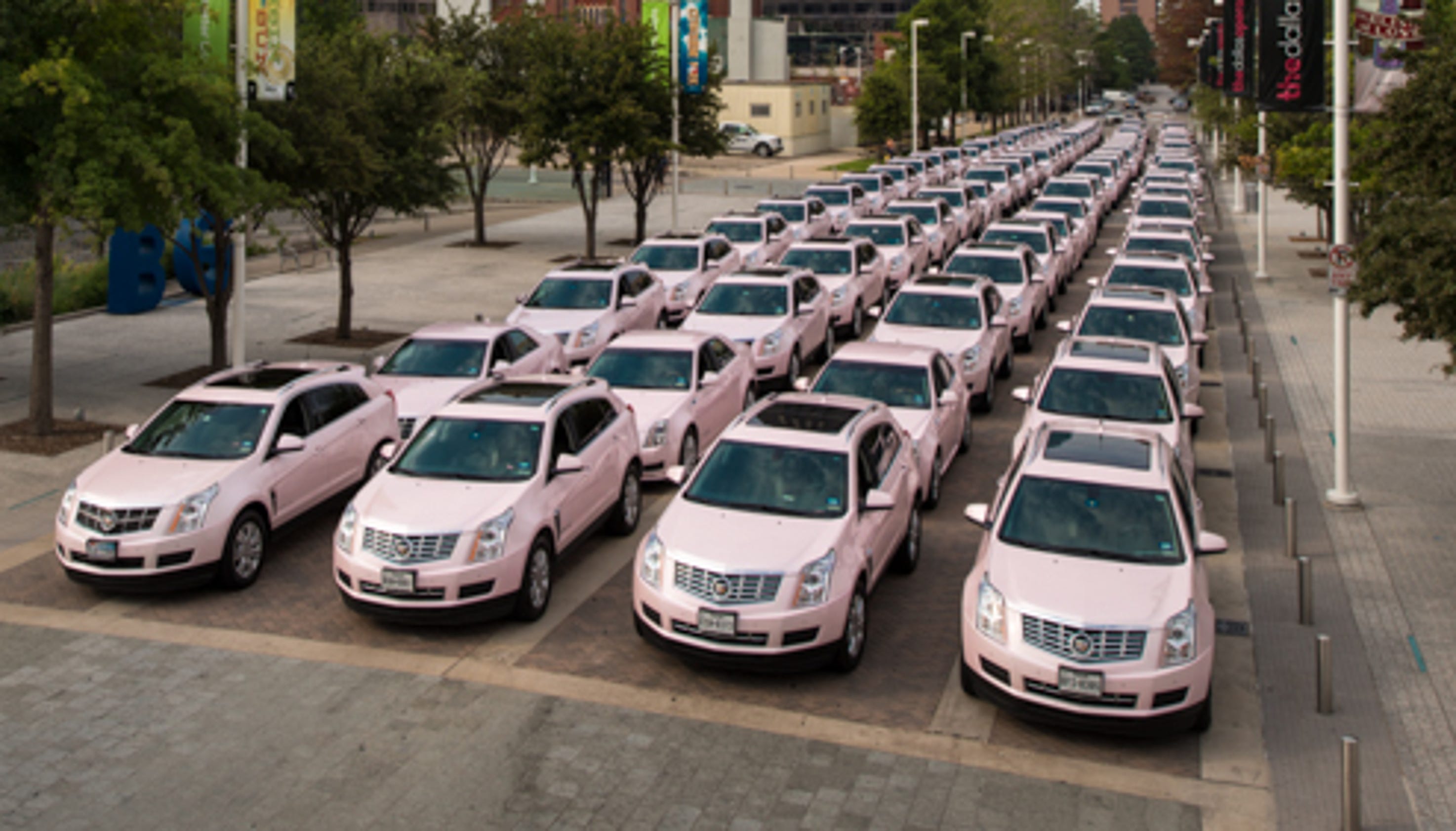 Pink Cadillacs gather for Mary Kay cosmetics rally