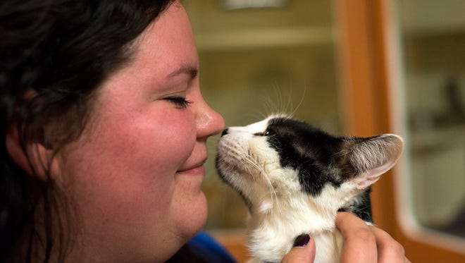 Zoe O'Bryan rubs noses with Oreo the cat Friday during an adoption drive at Memphis Animal Services. MAS is trying to reach their goal of 5,500 adoptions in 2016.