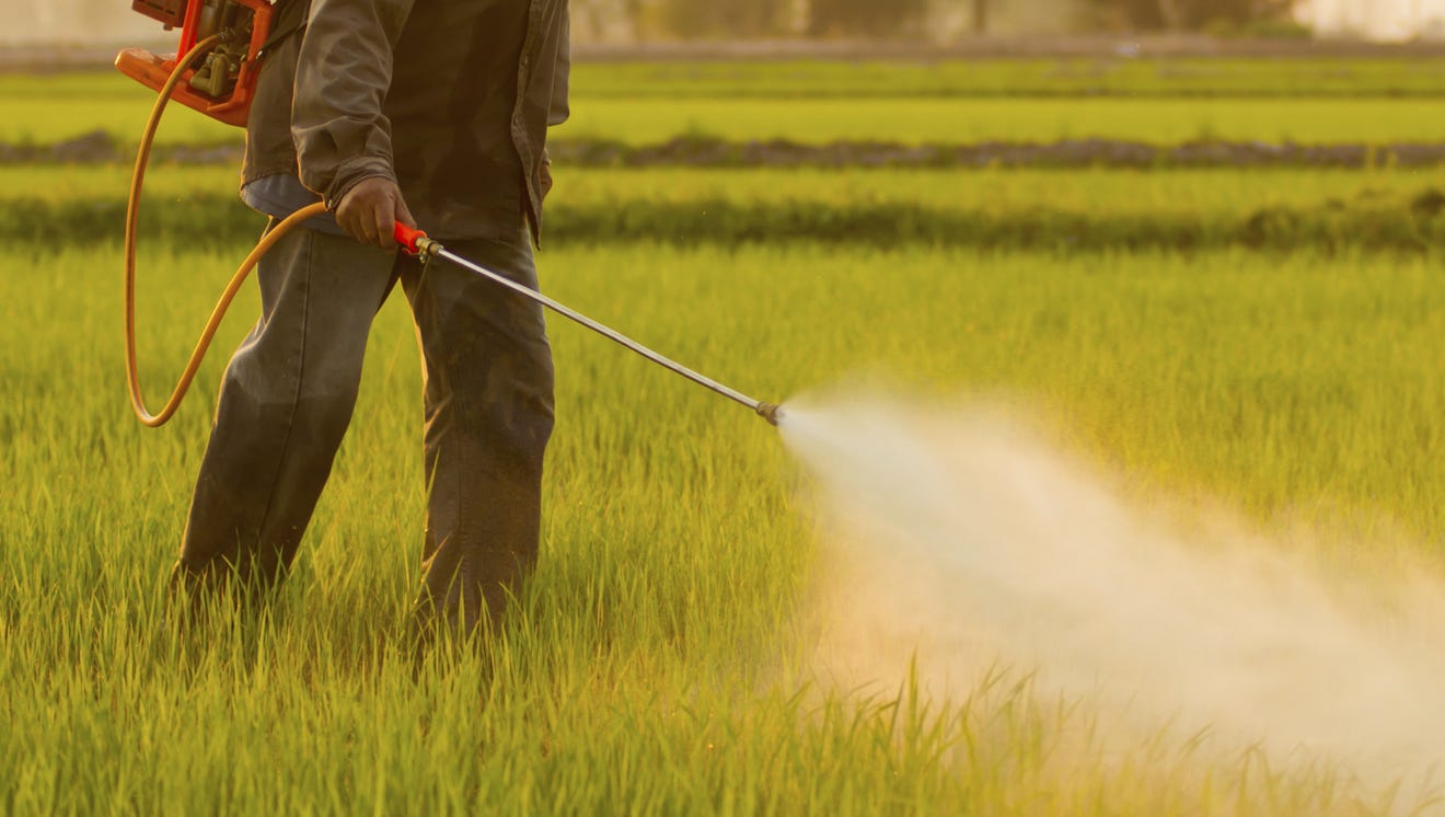 Влияние пестицидов на растения