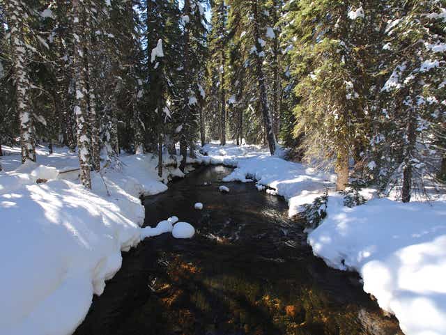 Snowshoe Route To Fay Lake Offers Beauty And Solitude Near Detroit