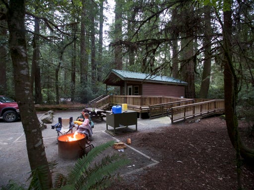 Redwood National Park Hosts Beautiful Cabins To Rent At A Great Price