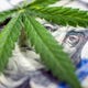 Cannabis plant on top of an American dollar bill.