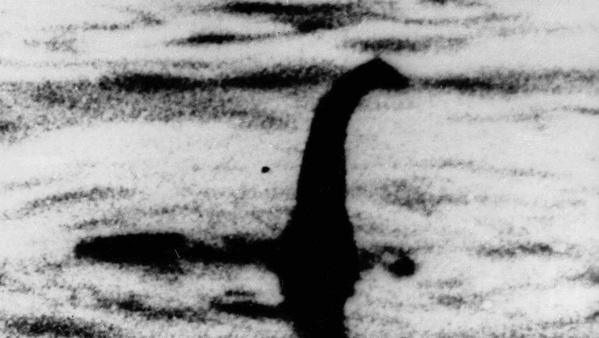 search for the loch ness monster with