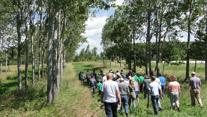 A group of visitors interested in grazing and trees walked the well-established fields of Geoff King’s Sunnyhill Acres, learning how trees and forages can be combined in a grazing setting.